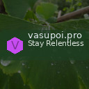 vasupoi.pro